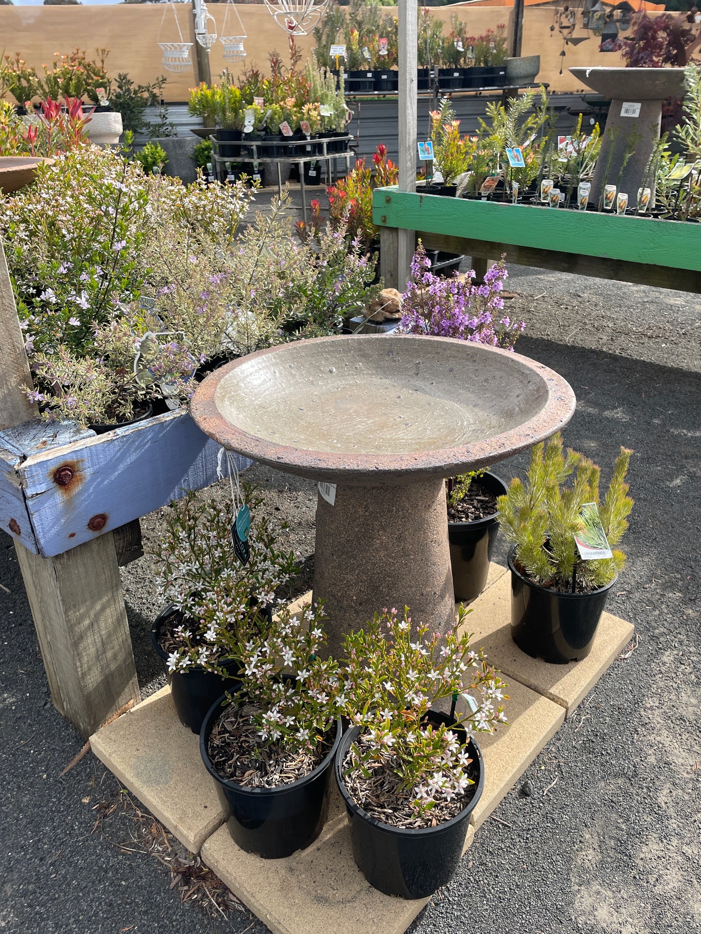 Bombora Alina Bird Bath