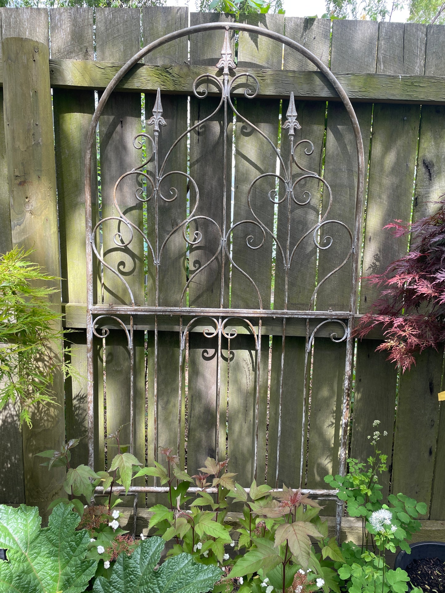 Garden Arch 1.8H x 90W