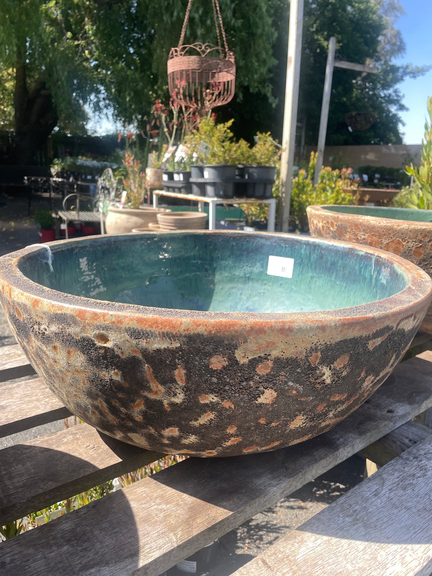 Lotus water bowl ‘Rust’