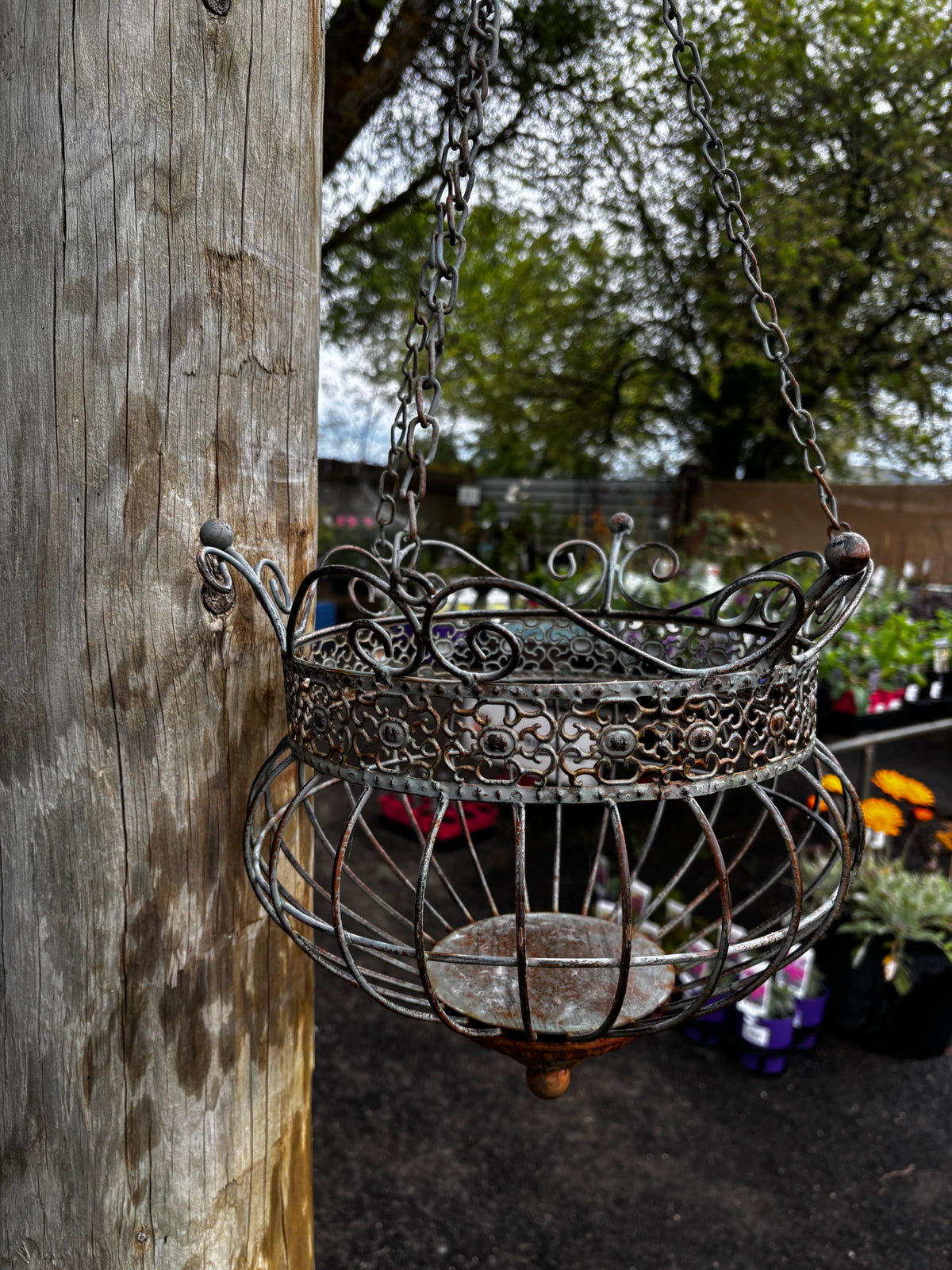 Filigree Hanging Basket - Antique Green