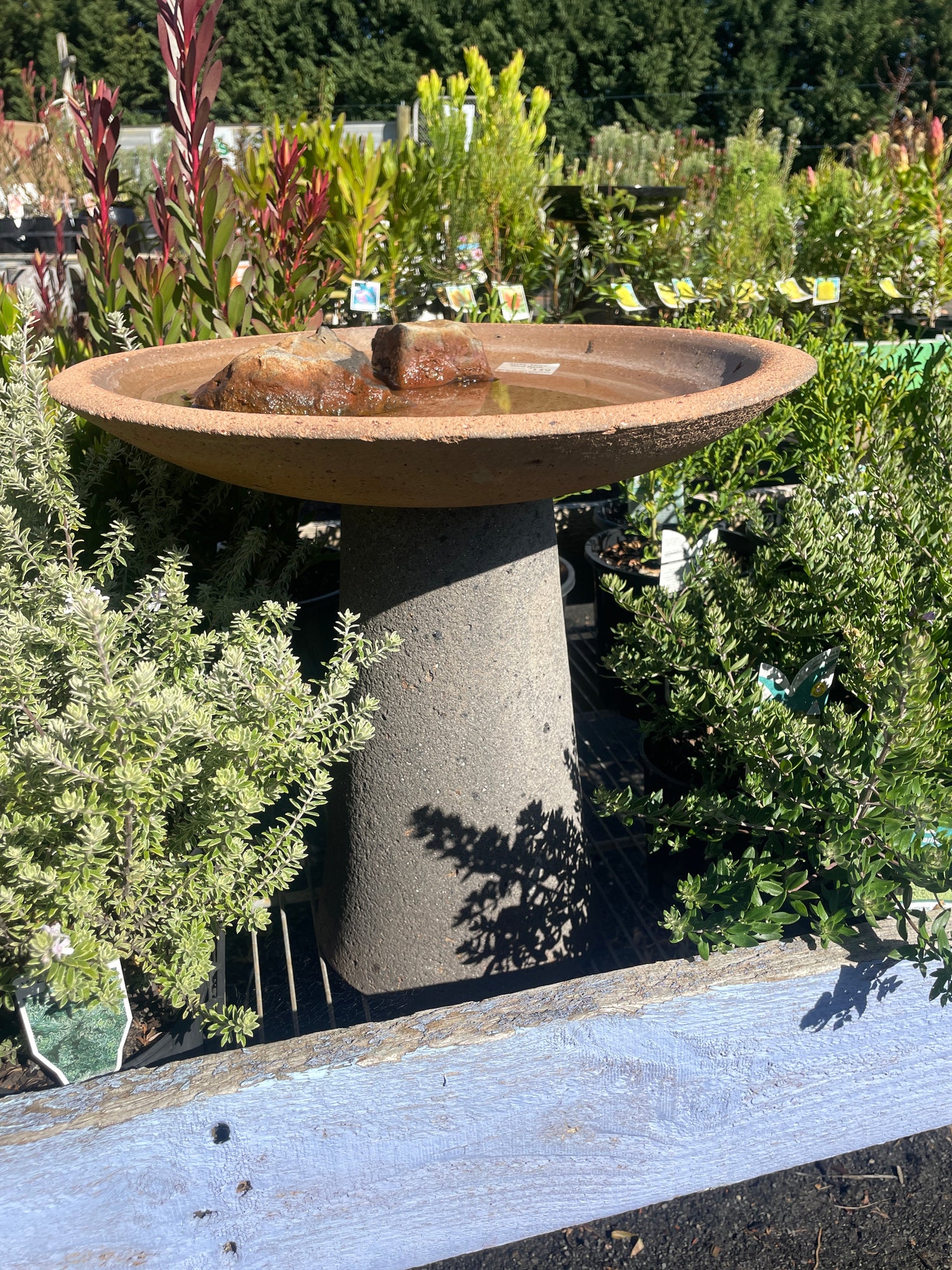 Bird Baths, Feeders and Houses