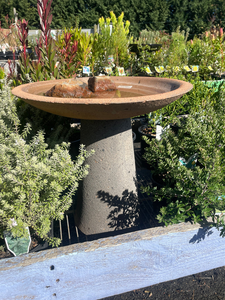 Bird Baths, Feeders and Houses