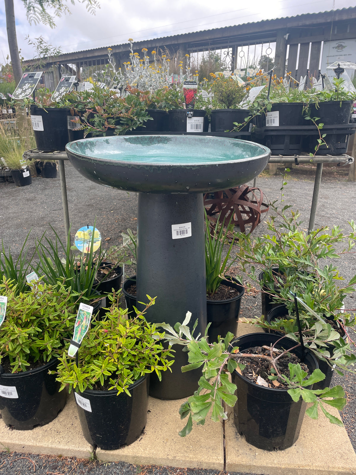 Bird Bath - Moderno - Glazed Blue