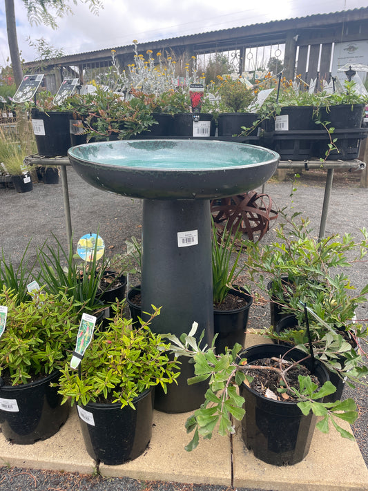 Moderno Glazed Bird Bath - Blue