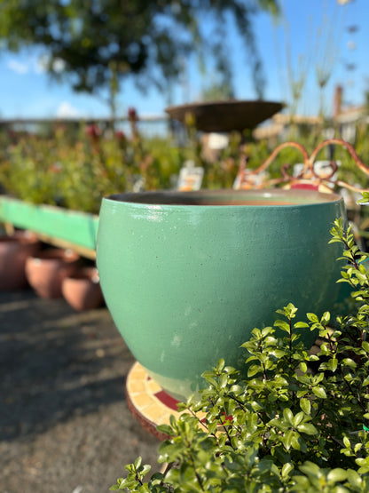 Franklin Moon Round Pot - Teal