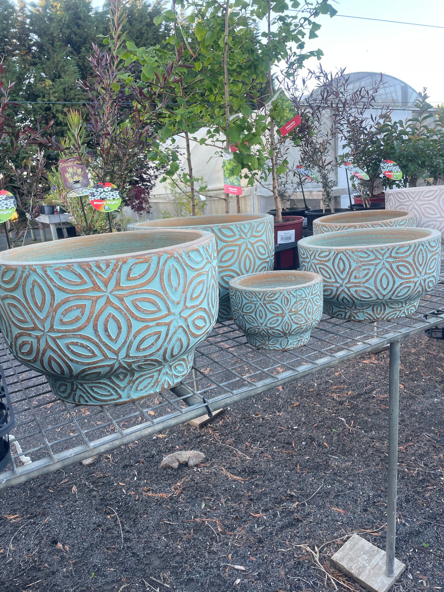 Moroccan Bowl - Teal