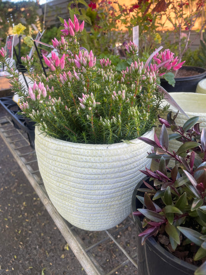 Mojay Dart Weave Egg Planter 19x18cm