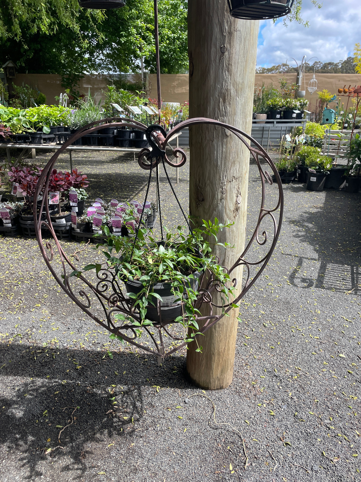 Hanging Heart Plant Holder Rust