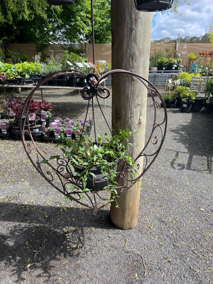 Hanging Heart Plant Holder Rust