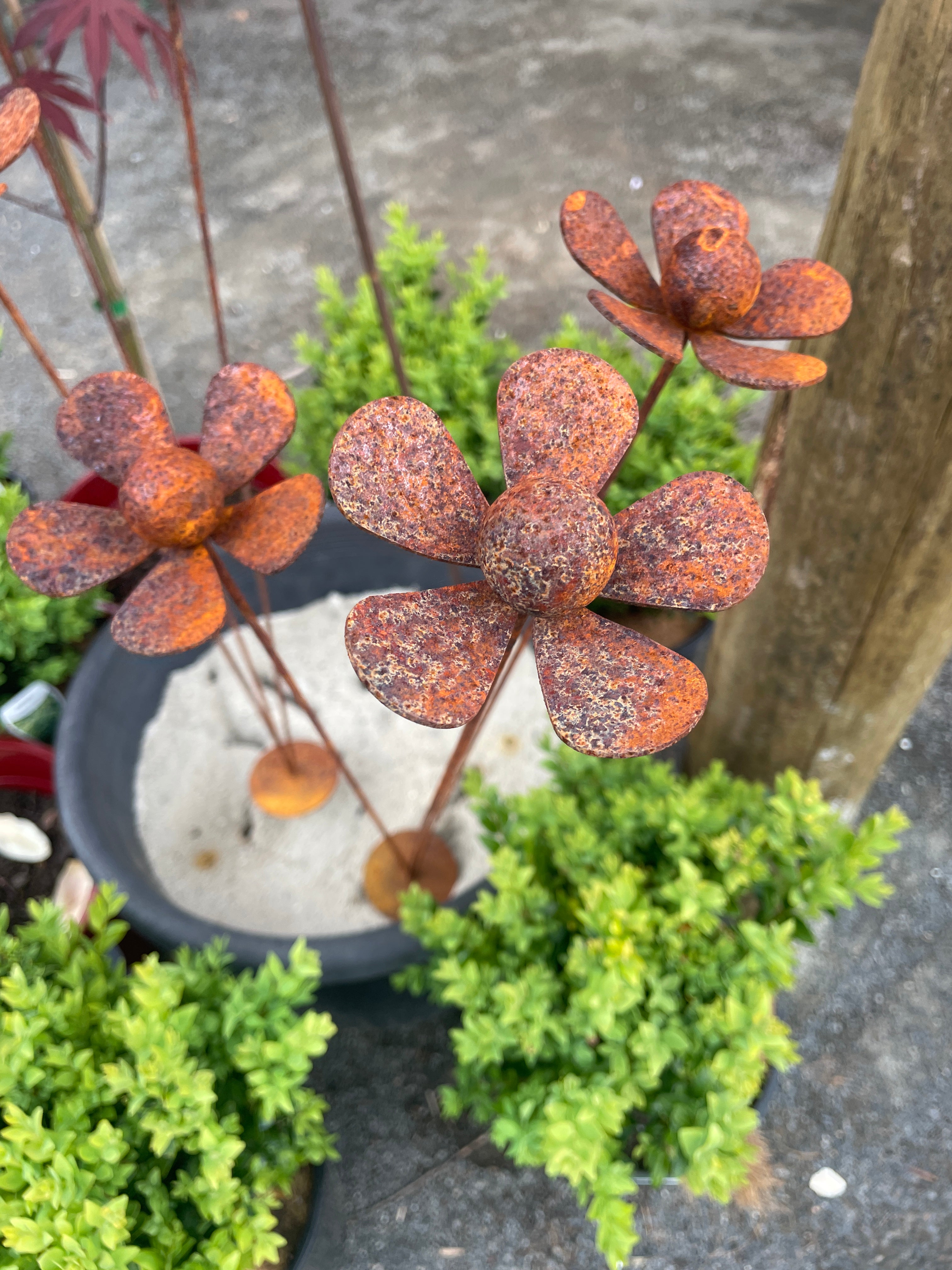 Stake - Rustic Flower Garden Stake – Navigators Nursery
