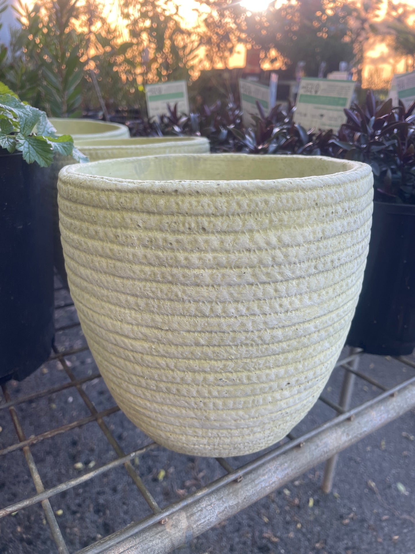 Mojay Dart Weave Egg Planter 19x18cm