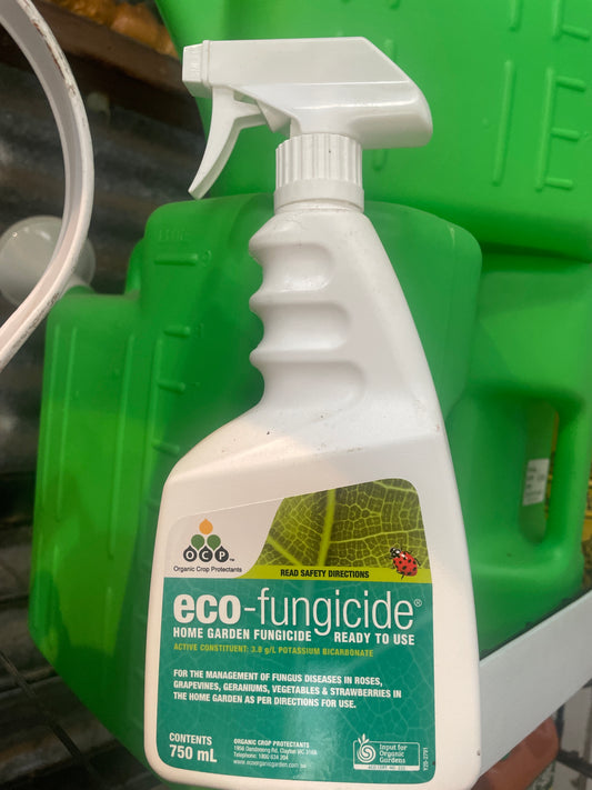 Eco Fungicide Spray