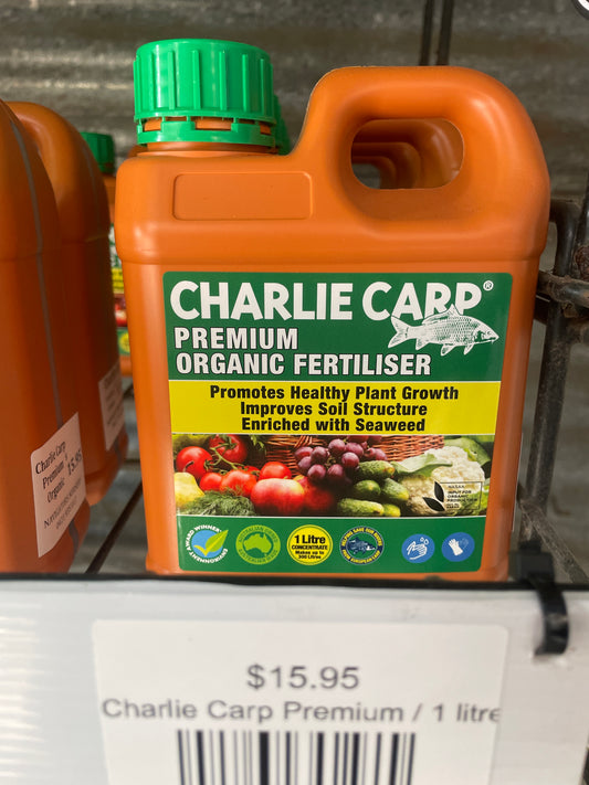 Charlie Carp Premium
