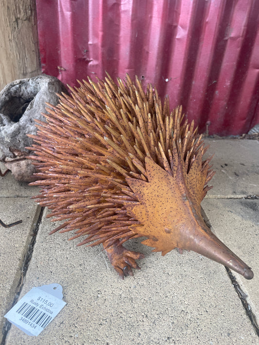 Rusty Echidna