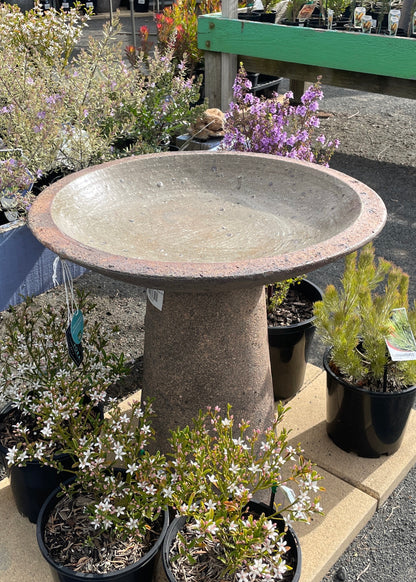 Bird Bath - Alina