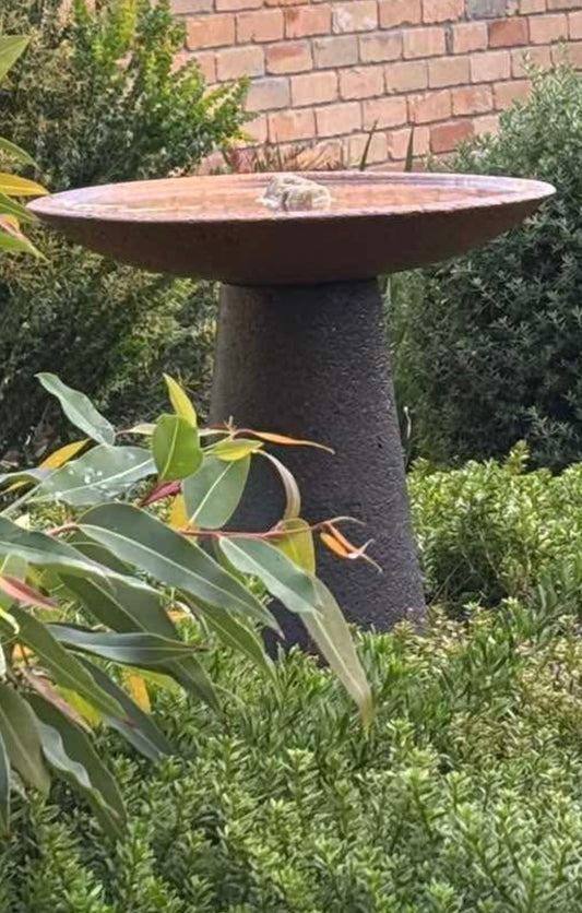 Bird Bath - Alina