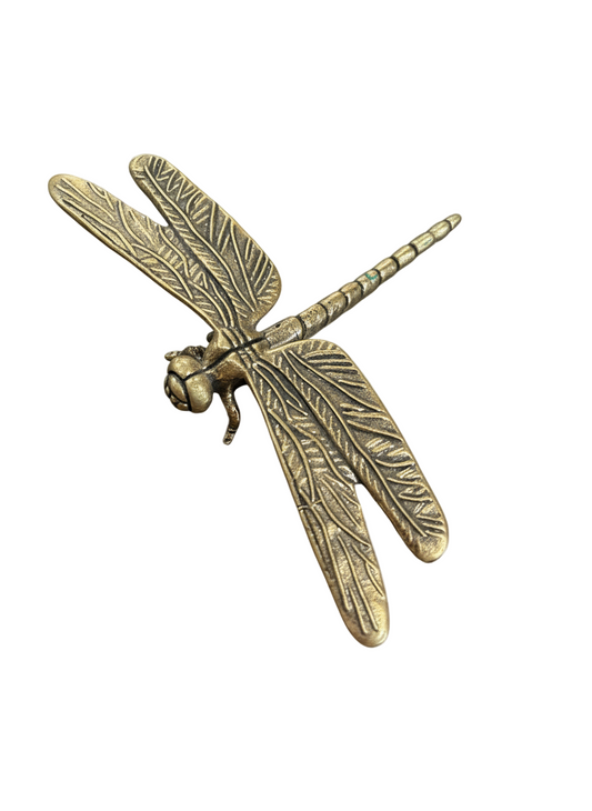 Little Brass Dragonfly