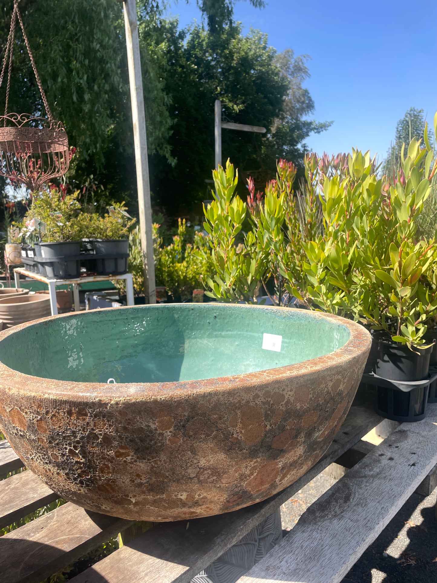 Lotus water bowl ‘Rust’