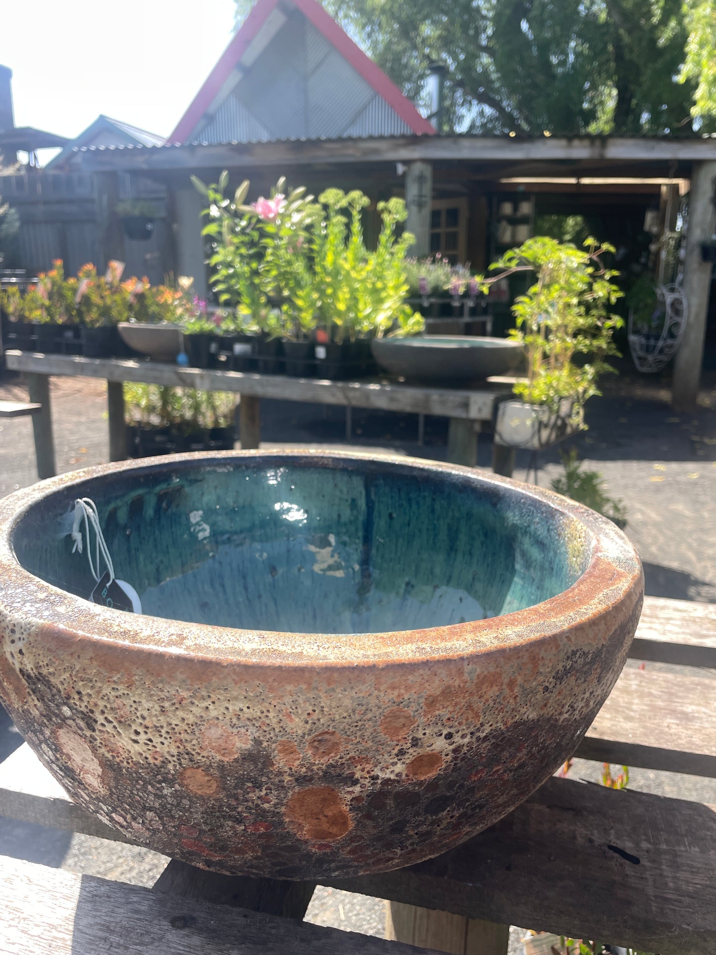 Lotus water bowl ‘Rust’
