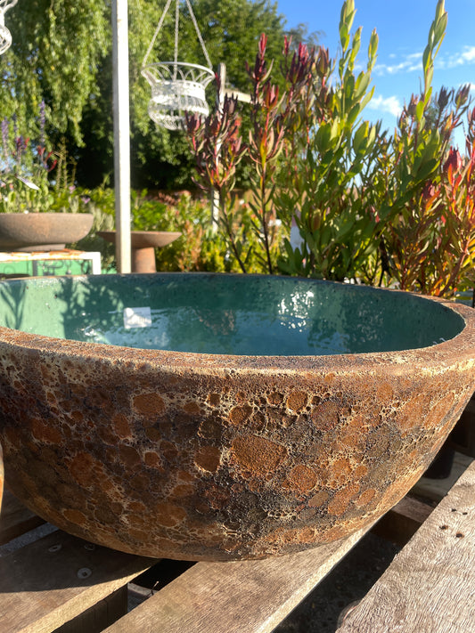 Lotus water bowl ‘Rust’
