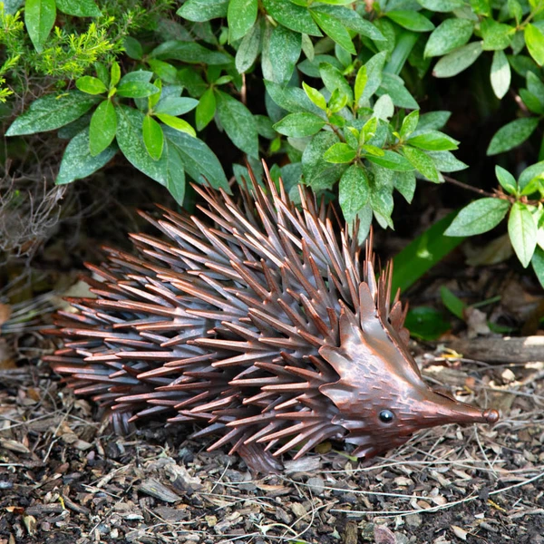 Bronze rustic echidna garden sculpture nestled among garden plants